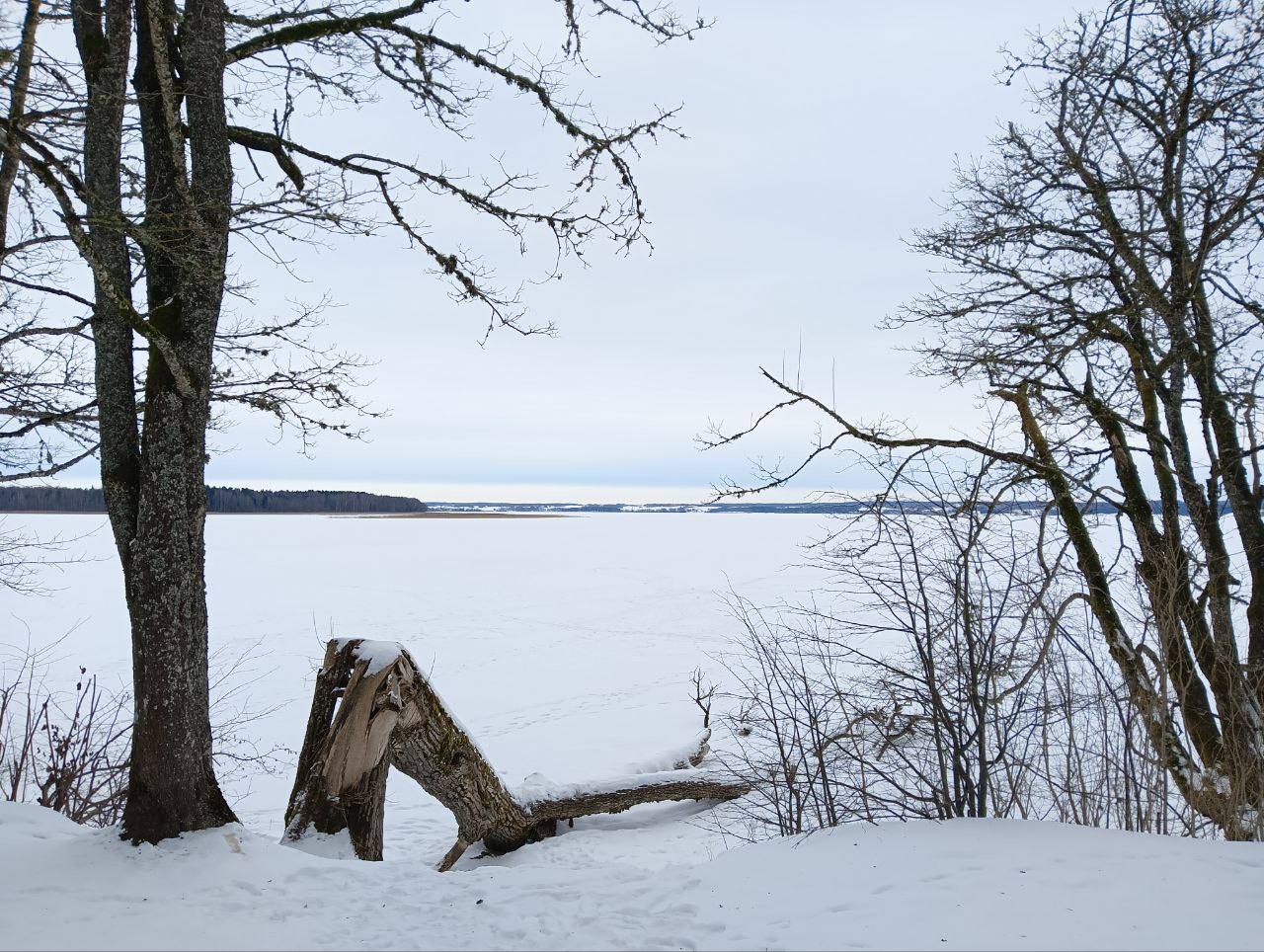 Парк «Виштынецкий» получит 160 млн на «сохранение биоразнообразия»
