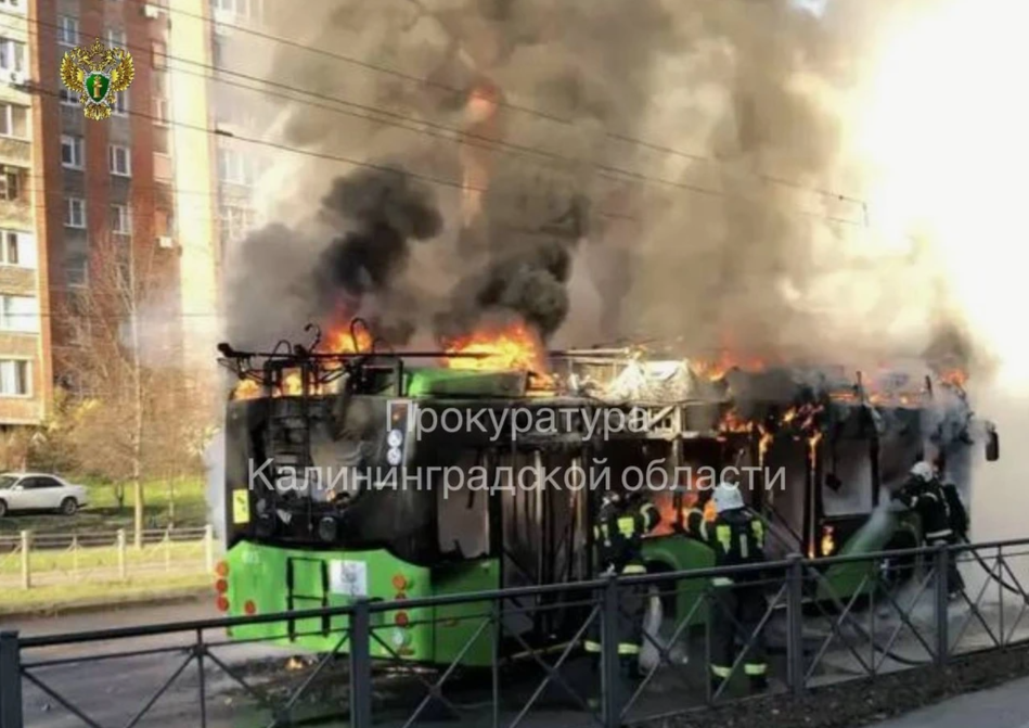 Где еще горели такие же троллейбусы как в Калининграде? 