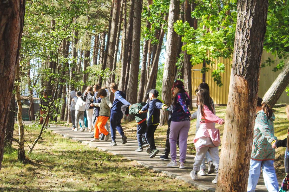 Рекорд Калининграда: 6800 заявок в детские лагеря подали за 12 минут