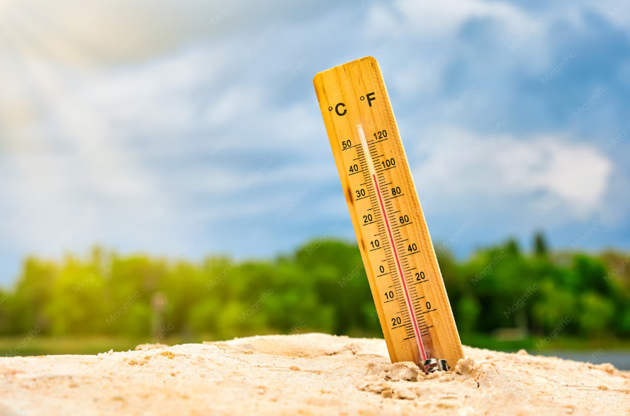 +25°C на подходе. Калининградцы смогут насладиться летним теплом в выходные