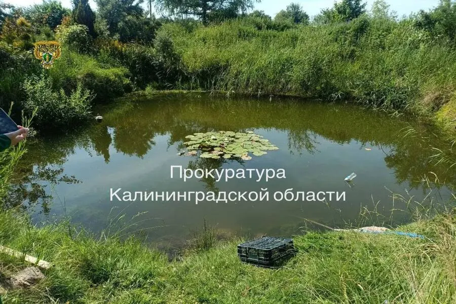 В Полесском районе шестилетняя девочка купалась без присмотра и утонула