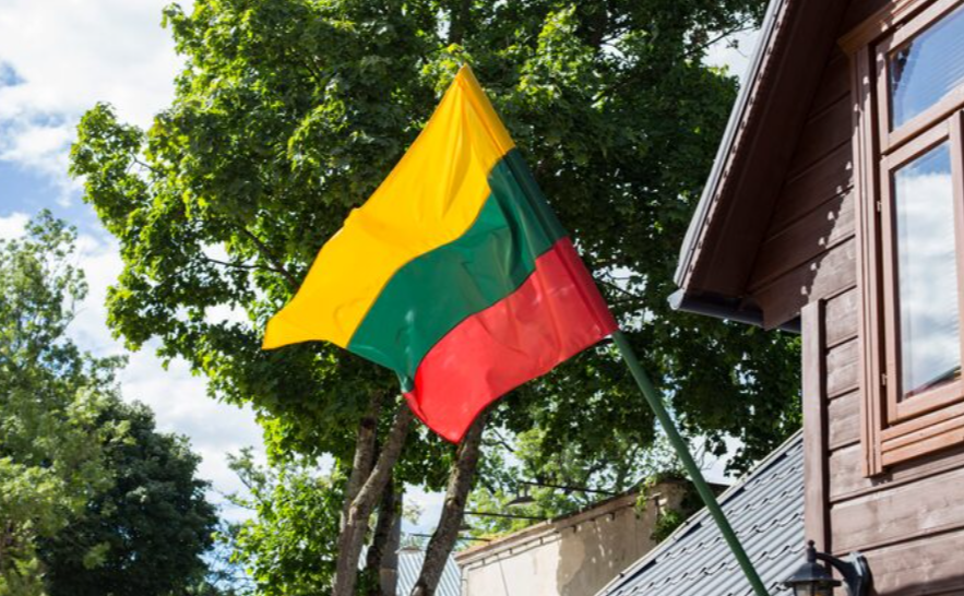 Правительство Литвы под руководством Инги Ругинене ушло в отставку спустя 10 месяцев