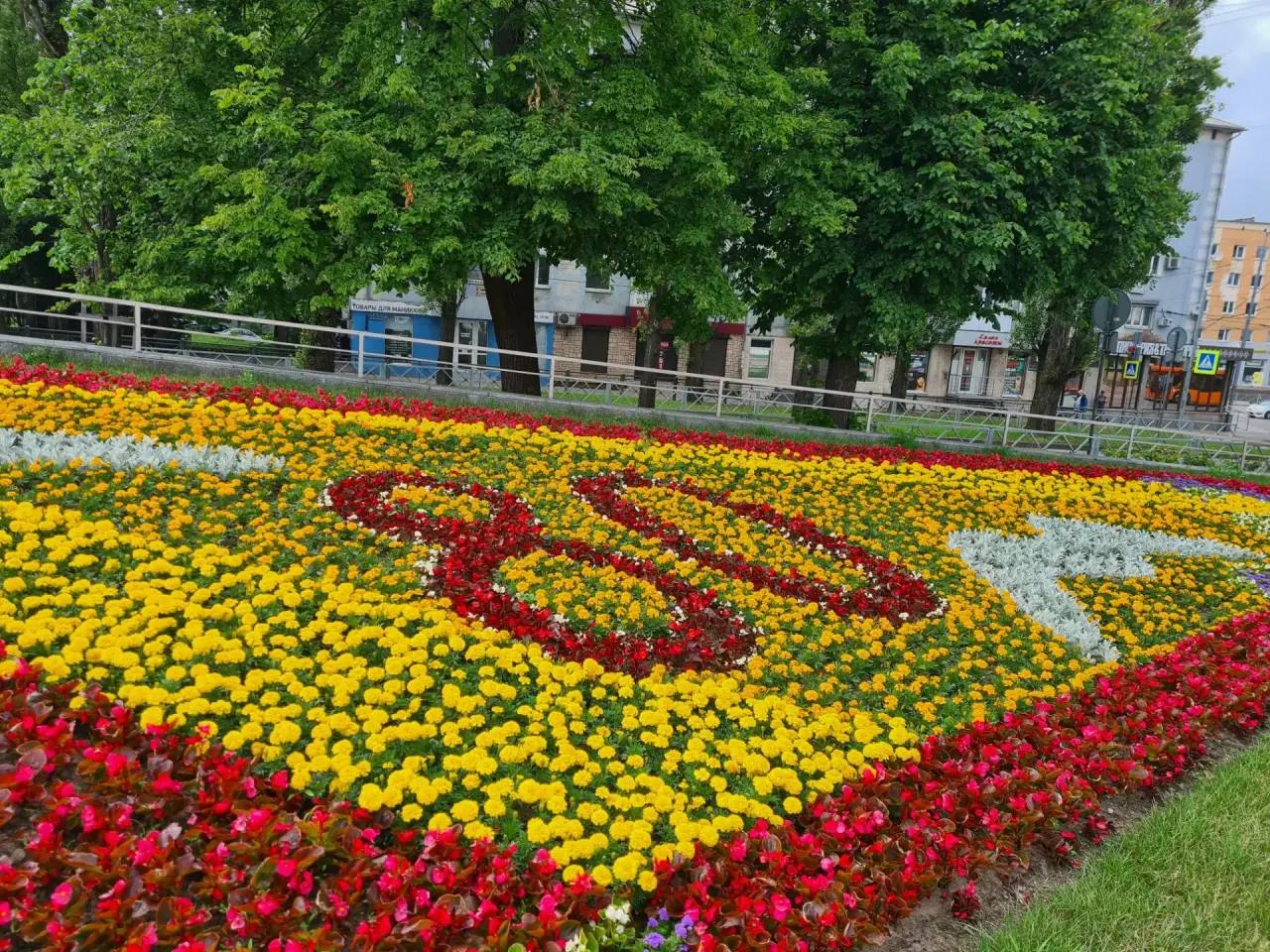 Калининград расцветает к юбилею: высаживают 50 клумб с петуниями, геранью и бальзамином. 