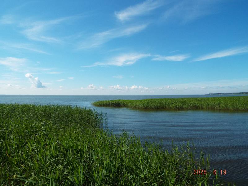 Куршская коса в опасности. Суд вернул дело «Водоканала» на пересмотр