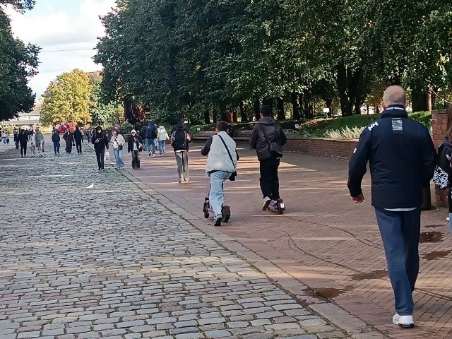 Калининградцы просят убрать самокаты с острова Канта 