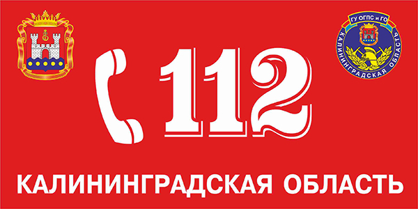 В лесу под Зеленоградском заблудился турист из Хакасии