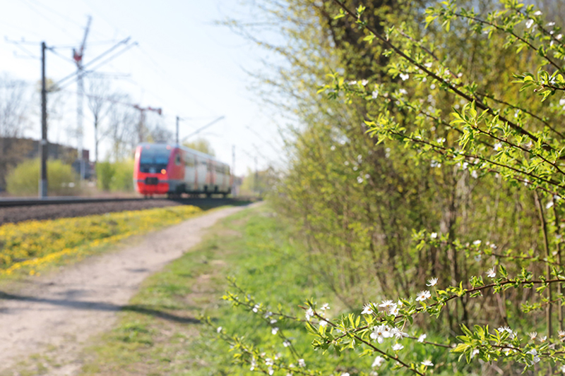 Пригородный поезд в Железнодорожный начнет курсировать с 1 мая