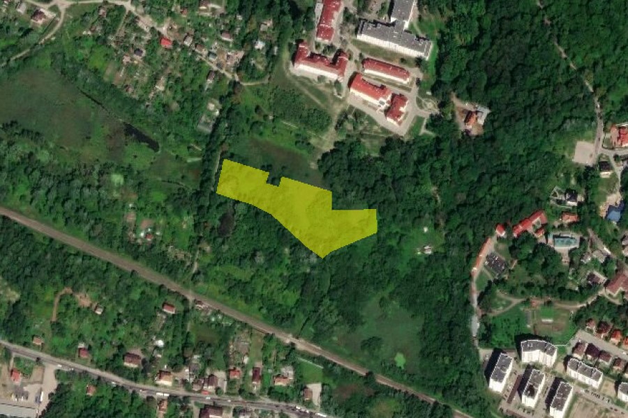 Власти Калининграда разрешили вырубку деревьев в районе парка Теодора Кроне