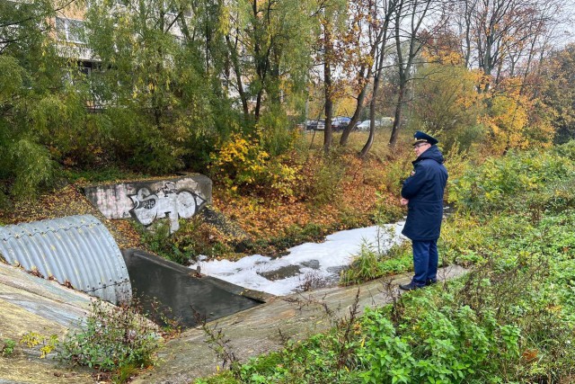Прокуратура выявила источник загрязнения Литовского ручья в Калининграде
