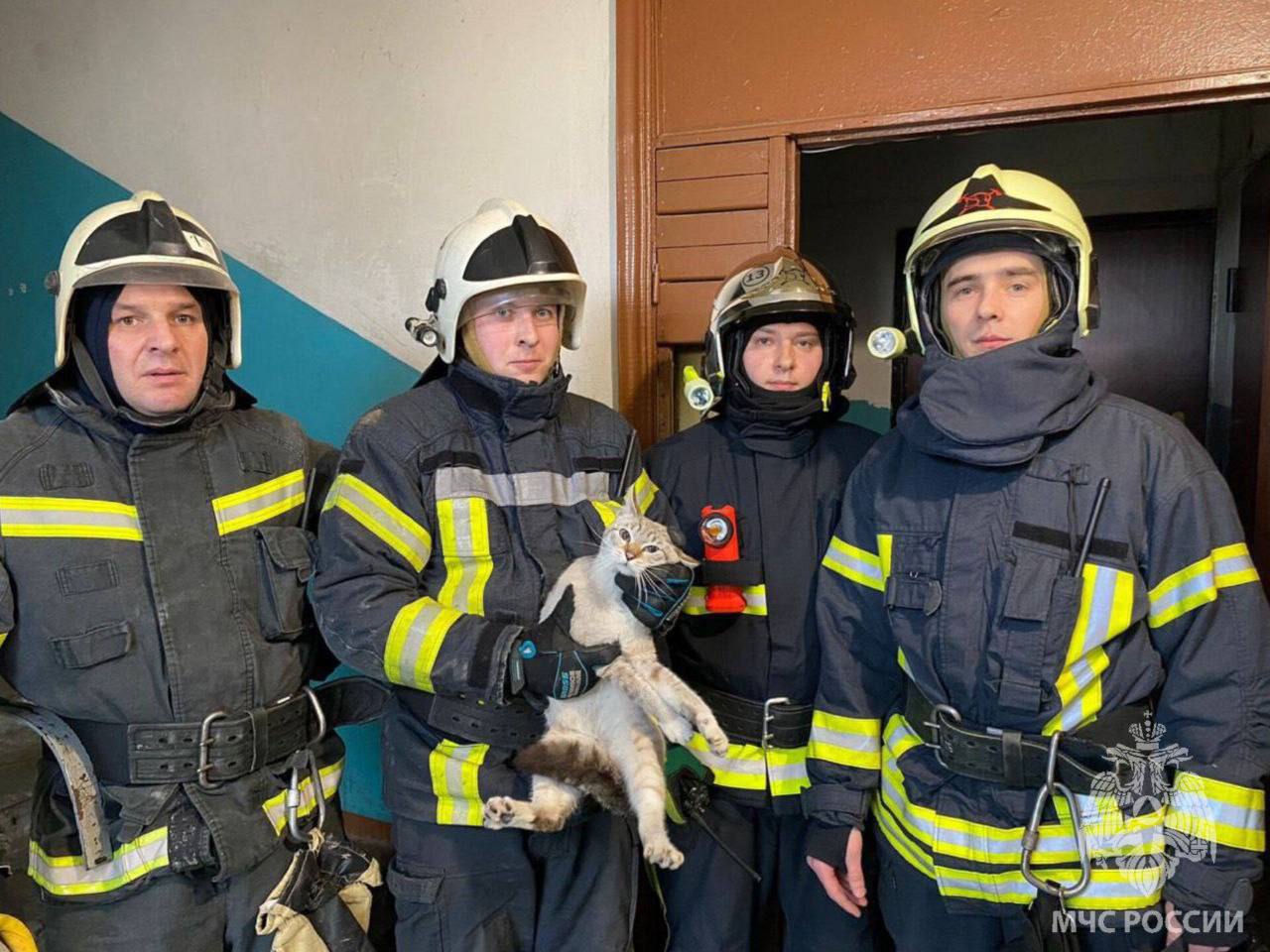В Калининградской области пожарные спасли кота из вентиляционной шахты