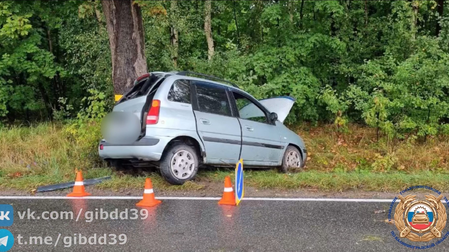 Под Зеленоградском автомобилистка врезалась в дерево