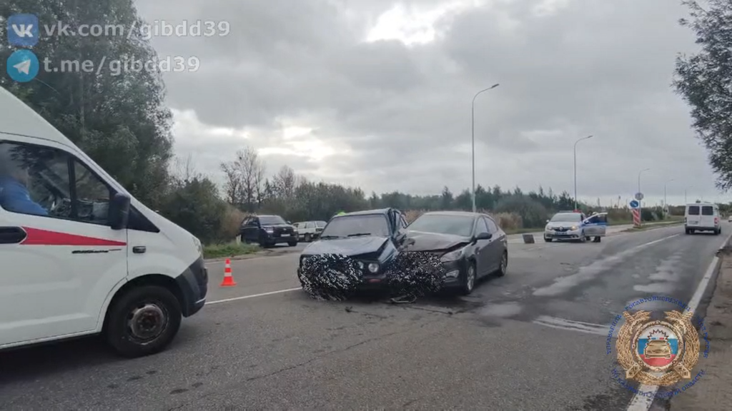 Под Светлым столкнулись два автомобиля