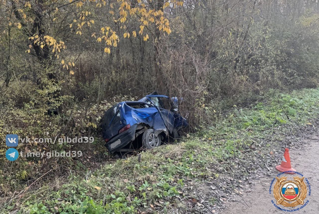 Под Черняховском автомобиль вылетел в кювет и врезался в дерево