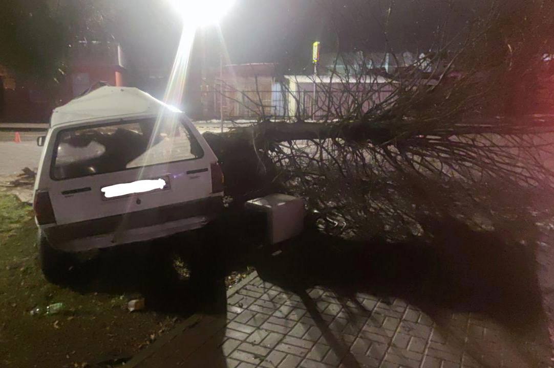 В Полесске пьяный водитель врезался в дерево