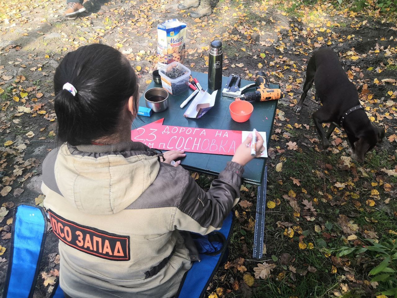 В лесах Калининградской области установят стрелки-навигаторы для выхода из массива