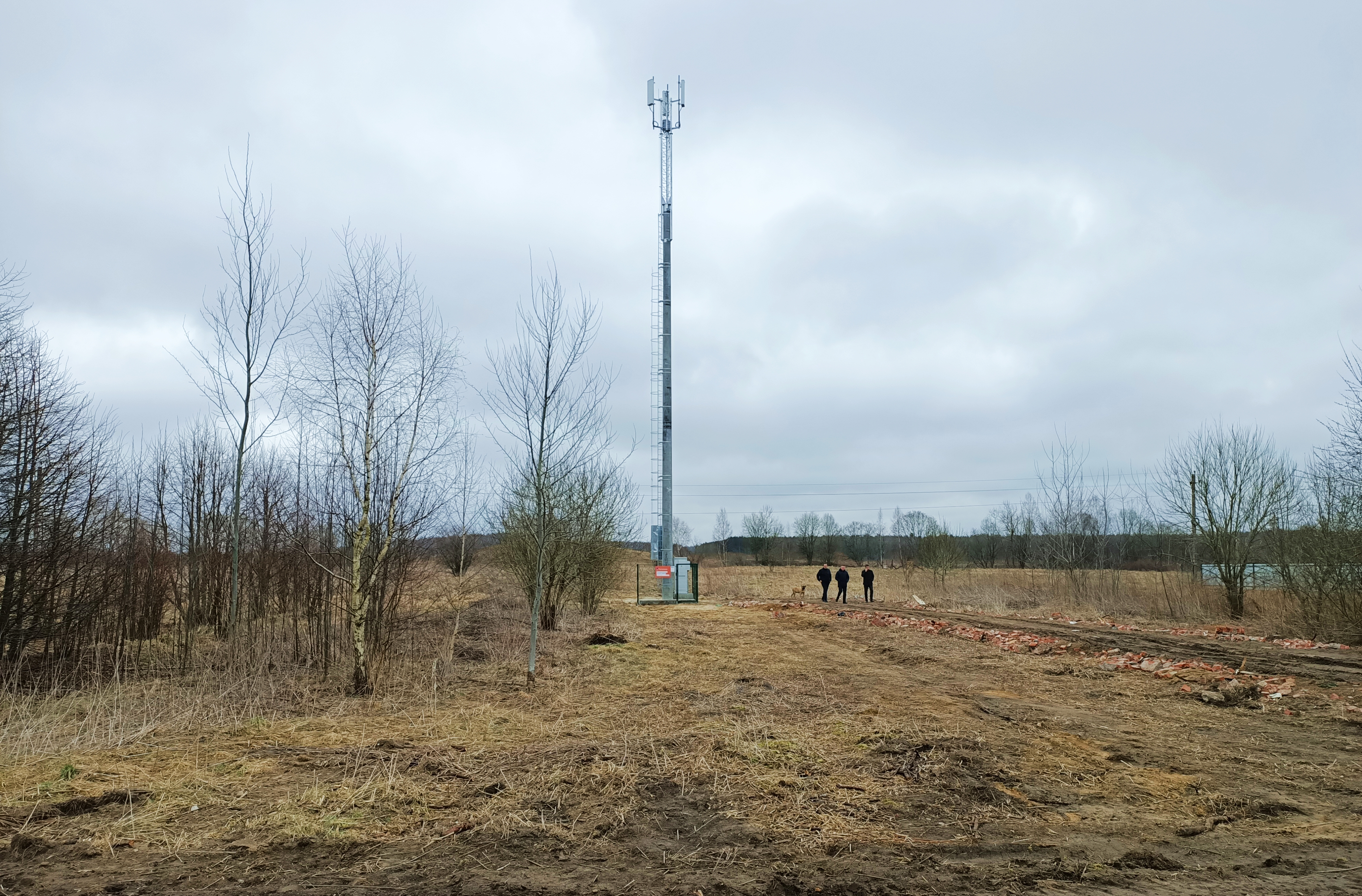 В Калининградской области в 2023 году установят 14 базовых станций мобильной связи