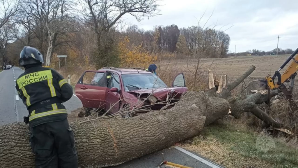 Под Гурьевском автомобиль врезался в упавшее дерево. Водитель погибла