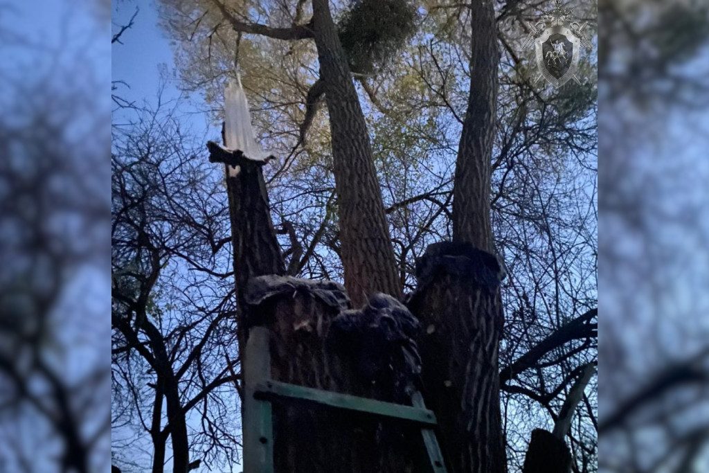 Под Гурьевском дачника убило веткой дерева