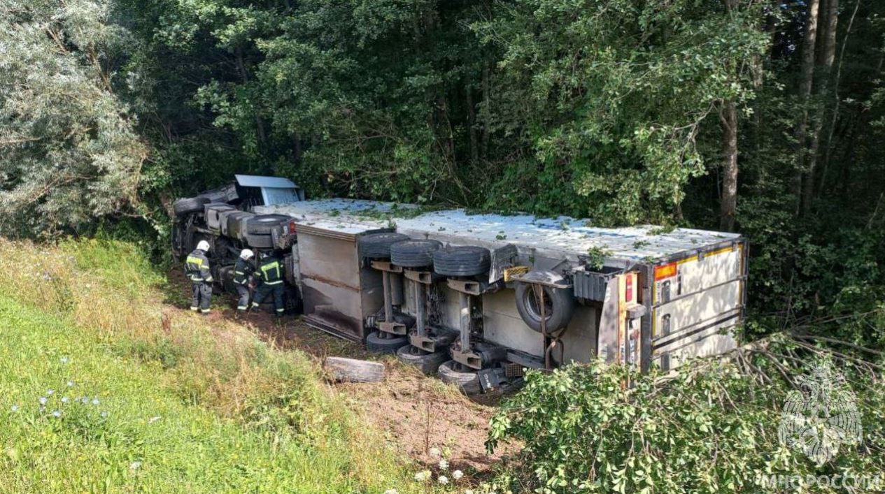 В Гвардейском округе фура «улетела» в кювет