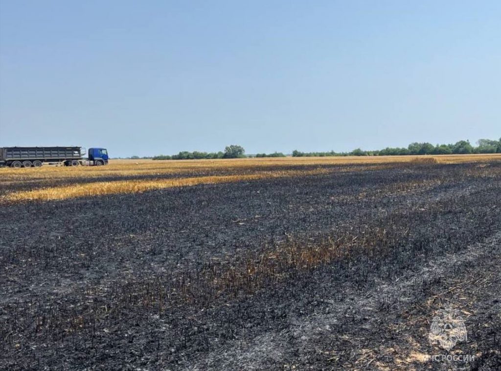 В Гусевском округе сгорело поле с урожаем
