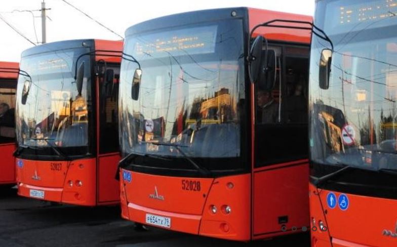 В Калининграде автобусы №27 и №28 вернутся к привычному маршруту