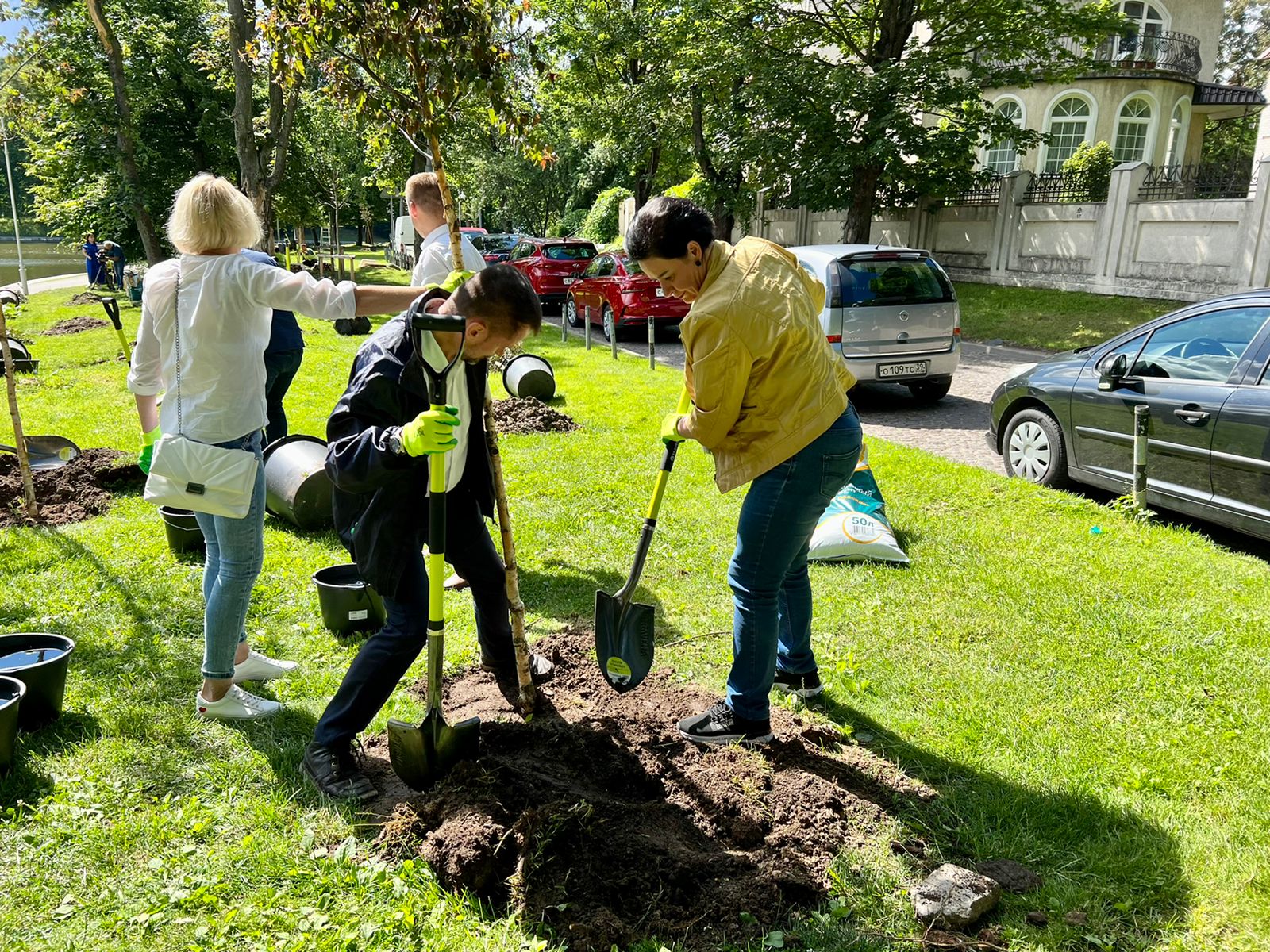 На Верхнем озере в Калининграде высадили 83 дерева