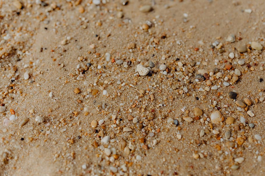 Пляж в Янтарном обещают расчистить от мусора в апреле