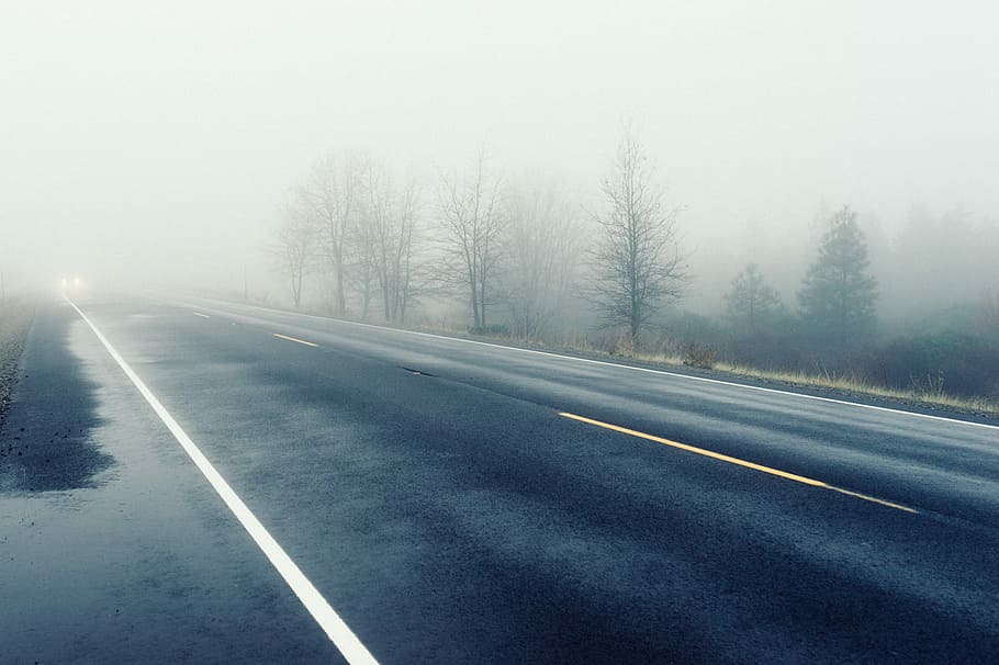 Калининградских водителей просят быть внимательней при движении в тумане