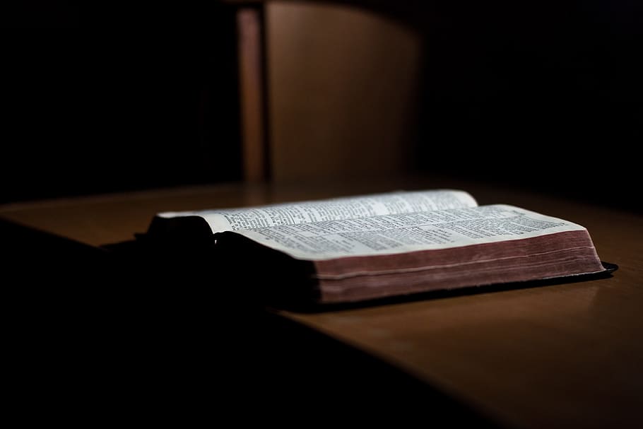 В Калининграде нашли старинную библию на стройплощадке моста