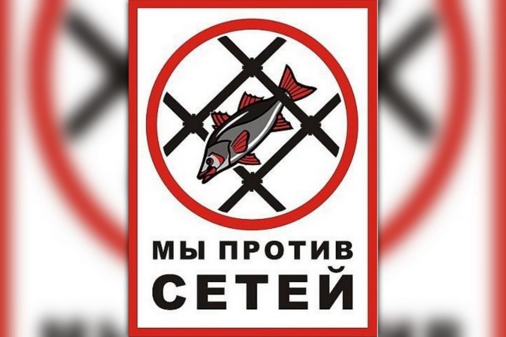 В Калининградской области пройдет «День без сетей»