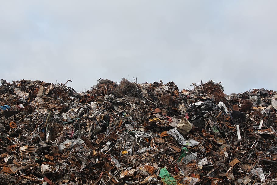 Запах с мусорного полигона в Барсуковке обещают устранить в течении 10 дней
