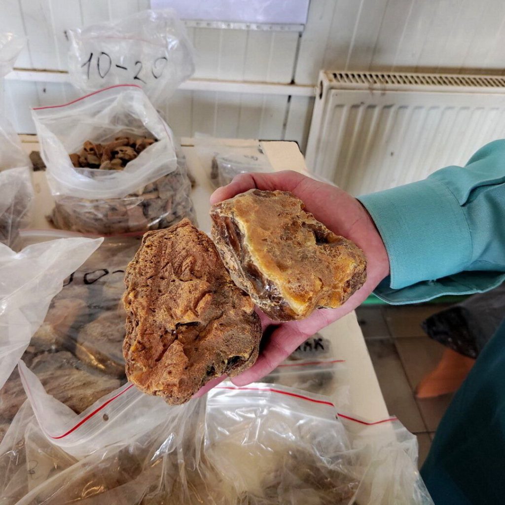 Из Калининграда в Литву пытались контрабандой вывезти 11 кг янтаря