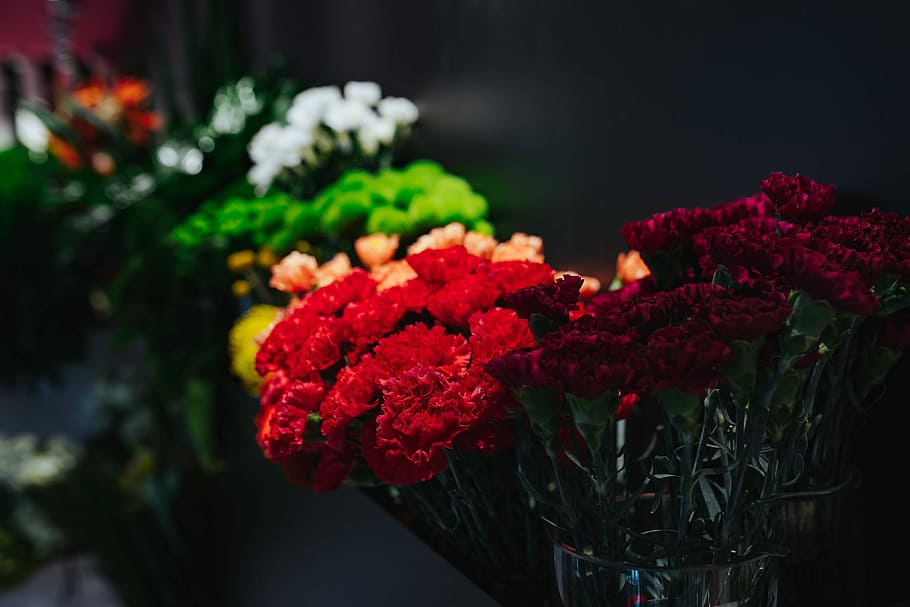 В Калининграде цветы стали самым подорожавшим товаром