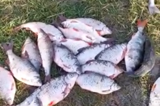 За неделю в Калининградской области выявили 19 рыбаков-нарушителей