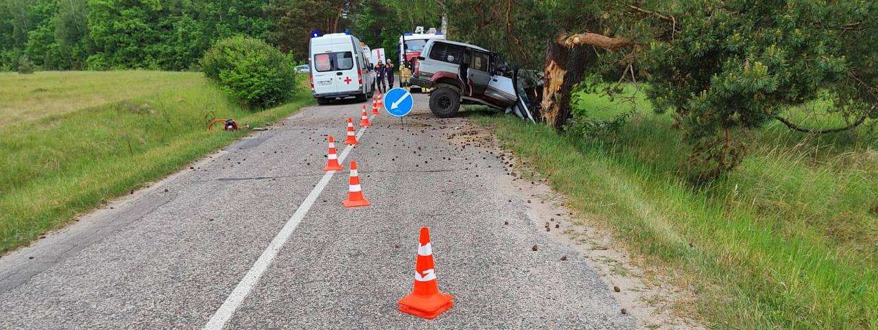 ГИБДД: За сутки на дорогах трое калининградцев пострадали и двое погибли