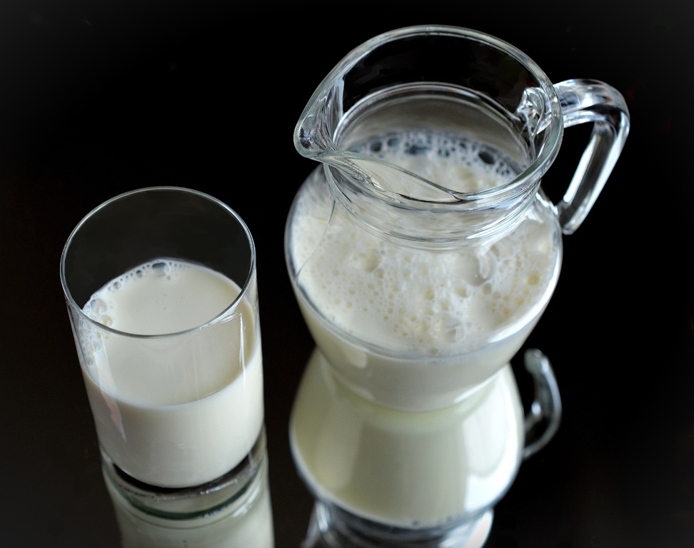 Производство молока в Калининградской области выросло на 4%