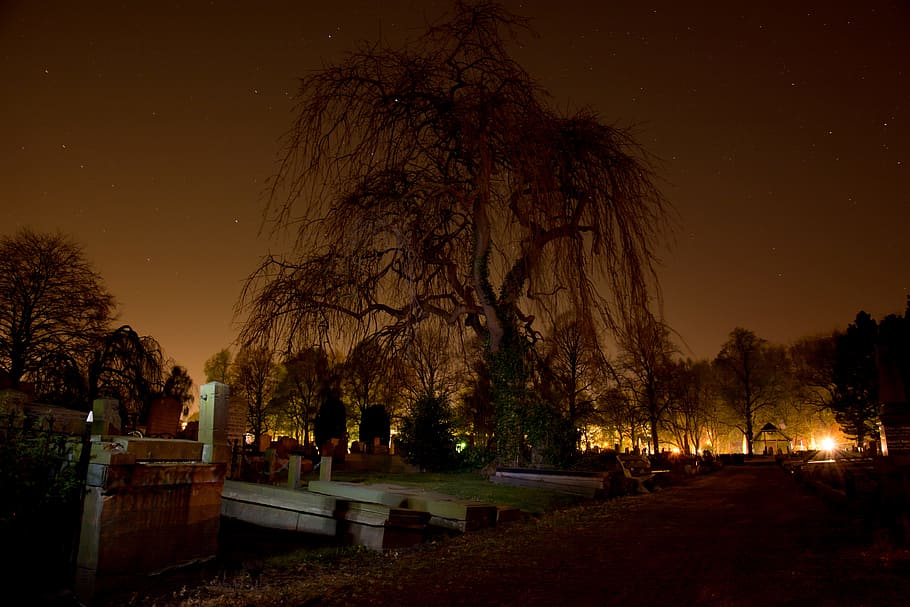 Калининградские кладбища «подсветят» за три миллиона рублей