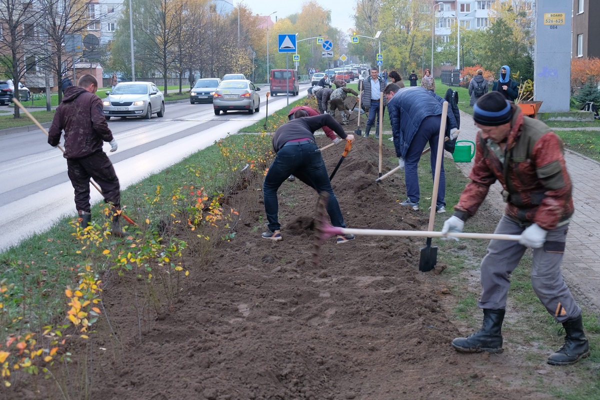 После 2026 года власти Калининграда планируют начать убирать железные заборы вдоль дорог