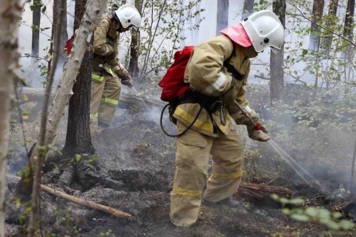 В 2022 году Калининградской области произошло шесть лесных пожаров