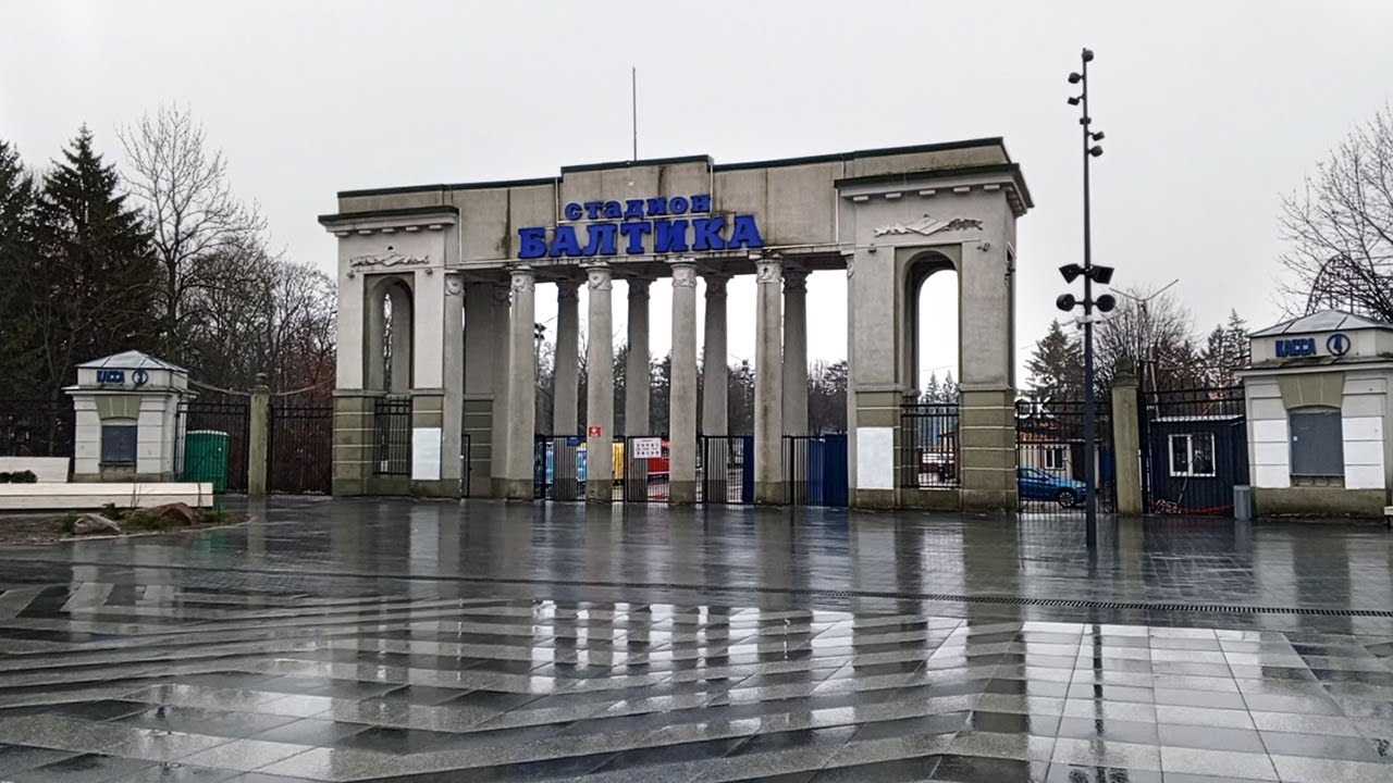 Власти Калининграда объяснили выбор деревьев у входа на стадион «Балтика»