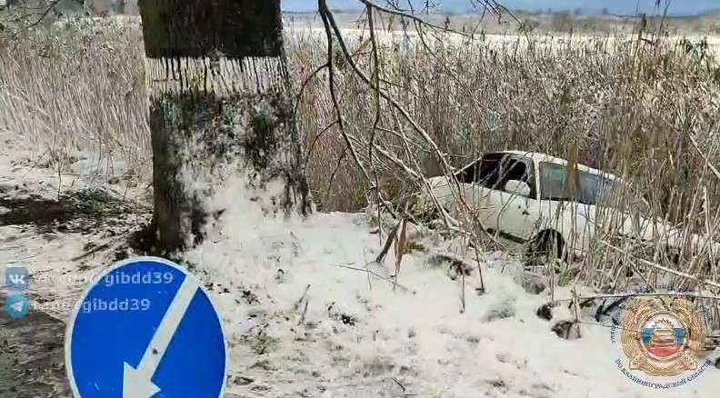 В Славском округе «Ауди» въехала в дерево