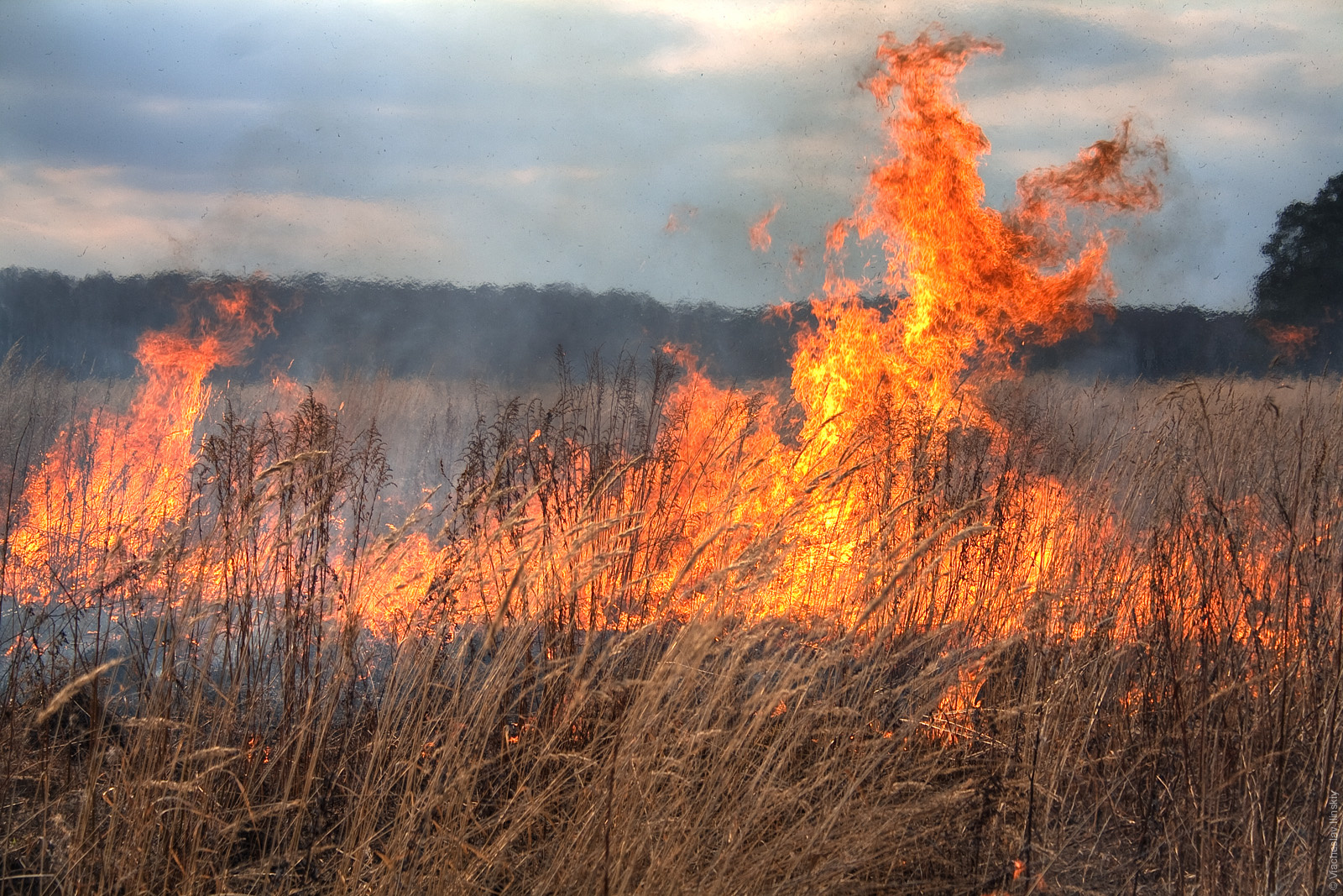 Из-за аномально жаркой погоды под Калининградом участились ландшафтные пожары