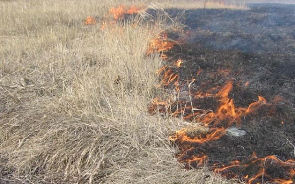 В Правительстве России заявили о неготовности региона к пожароопасному сезону