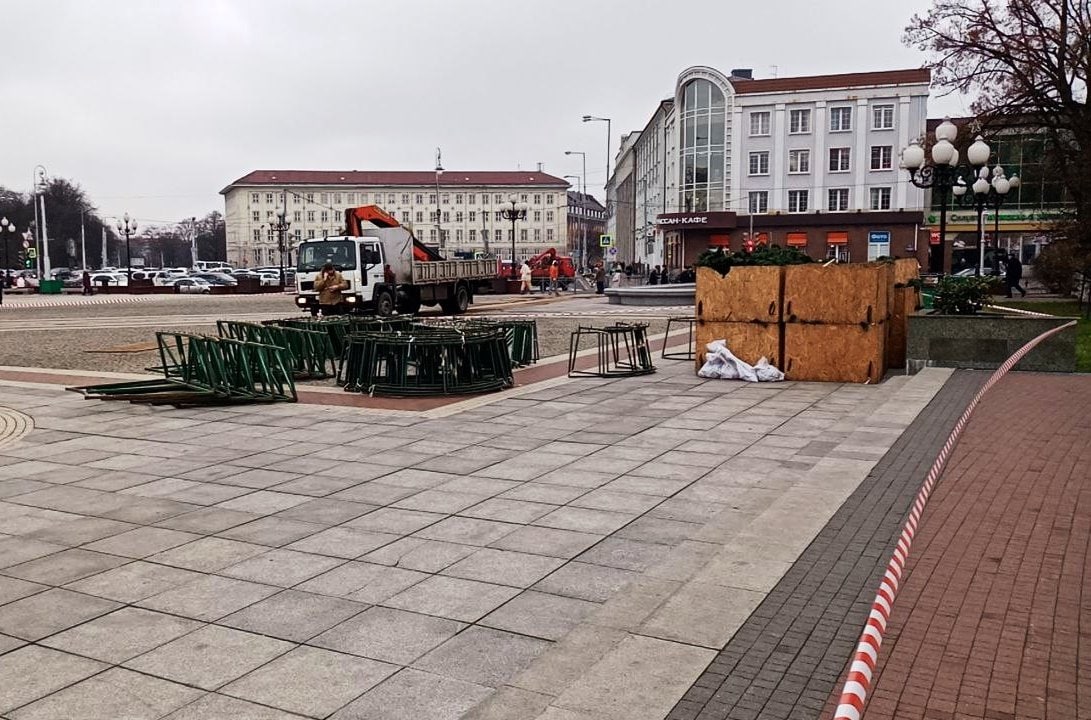 В Калининграде начали устанавливать главную елку