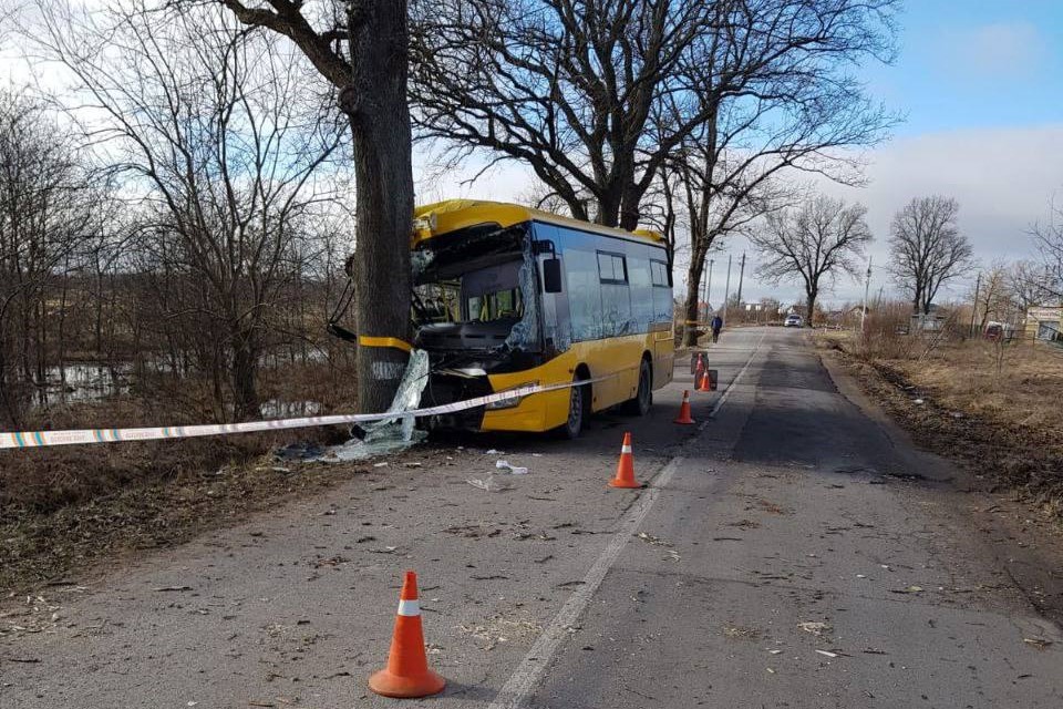 В Голубево пассажирский автобус врезался в дерево