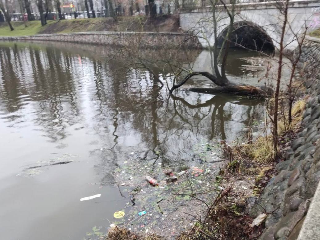 Прокуратура потребовала очистить акваторию Верхнего озера в Калининграде