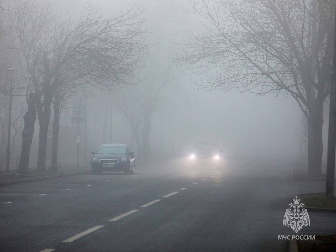 МЧС предупредило калининградских водителей о тумане на дорогах