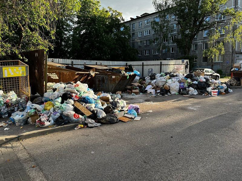 Евгений Мишин: Бездействие властей приводит к мусорному хаосу в регионе