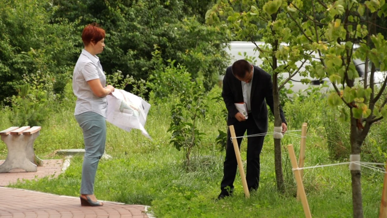 В Калининграде выделяют почти 4,5 млн рублей на уход за зелёными насаждениями