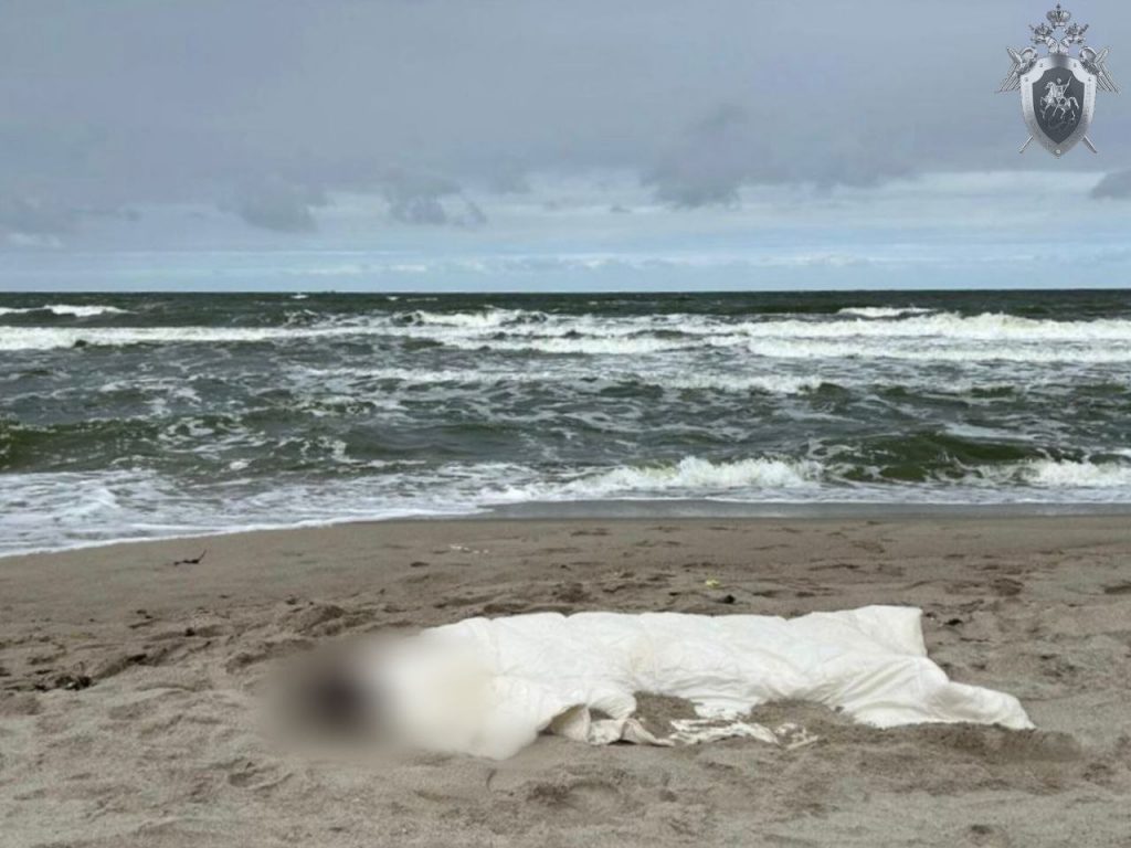В Балтийском городском округе обнаружили тело утопленника